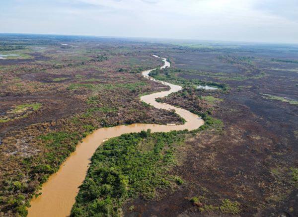 Ano de 2024 pode ser um dos mais secos da história do Pantanal