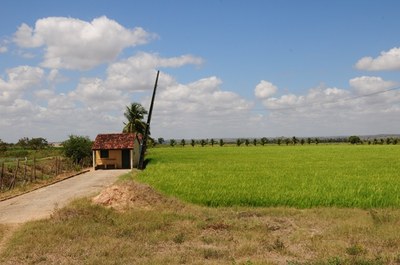 Projetos da Codevasf  produziram cerca de 89,3 mil toneladas de itens agrícolas em Alagoas em 2023