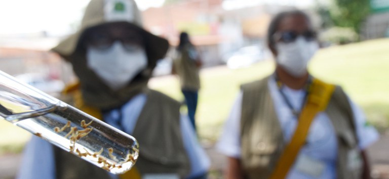 Saúde enviou mais de R$ 140 milhões para ações emergenciais contra a dengue