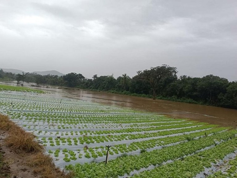 Avança plano emergencial da Embrapa para recuperar atividades agrícolas no Rio Grande do Sul