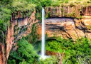 BNDES anuncia resultado de edital do Fundo Amazônia e inicia nova fase do Arco da Restauração