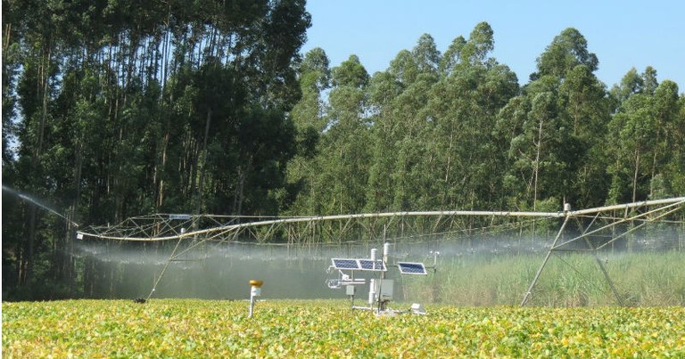 Codevasf convoca 13 mil agricultores de projetos de irrigação a atualizar cadastro