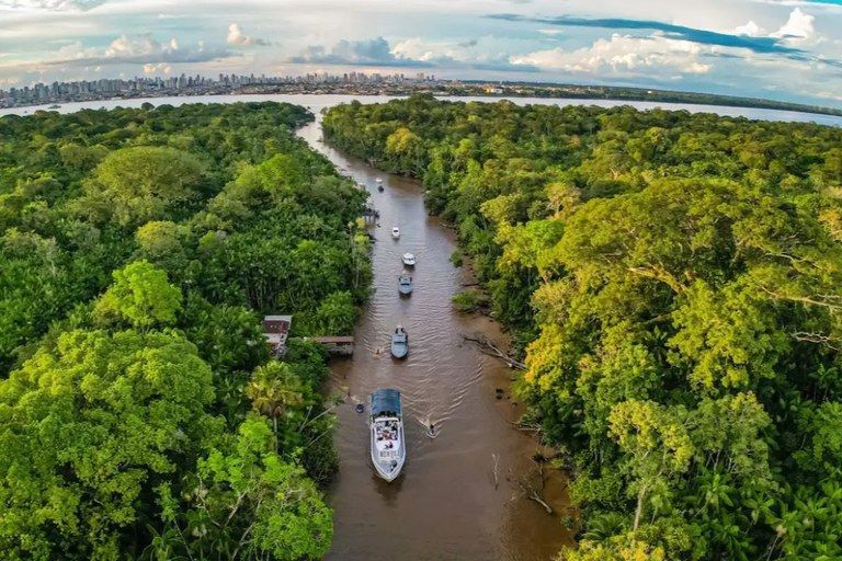 Edital Restaura Amazônia seleciona entidades para projetos de recuperação da floresta com recursos de R$ 450 milhões
