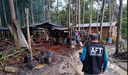 Ministério do Trabalho coordena força tarefa e resgata 50 trabalhadores no Amazonas