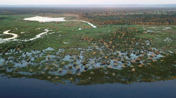 No Pantanal, estiagem de 2024 pode ser uma das mais severas da história