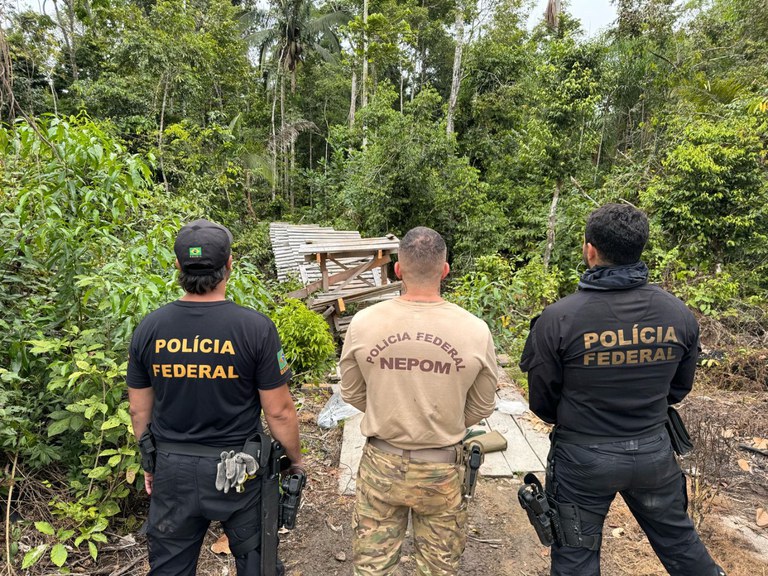 PF, Ibama, Funai e Exército desmontam grilagem na Terra Indígena Igarapé Laje