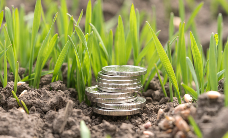 Fundos privados de investimento no agro crescem até 174% em abril