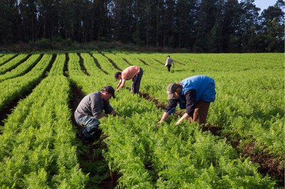 Agricultores familiares têm acesso ao Fundo Especial para Calamidades Públicas