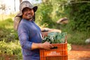 Consea comemora avanços no Plano Nacional de Abastecimento Alimentar