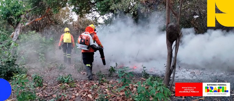 Efetivo completo da Força Nacional chega ao MS para combater incêndios florestais no Pantanal