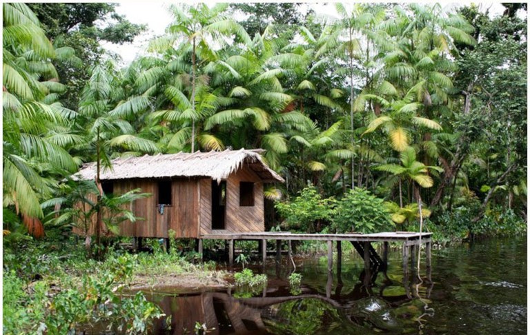 Floresta+ Amazônia vai remunerar famílias de assentamentos com redução no desmatamento
