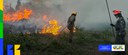 Força Nacional será enviada ao MS para combater incêndios florestais no Pantanal