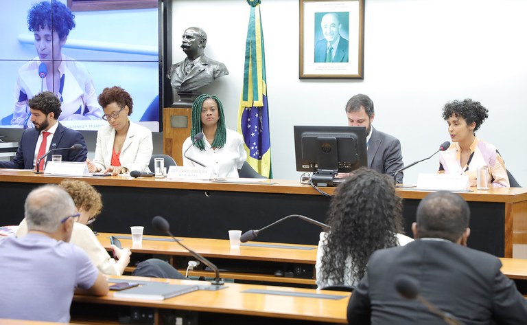 Na Câmara, representantes do Governo defendem cotas raciais em concursos