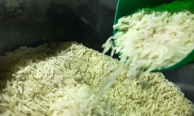 Governo Federal adquire 263,37 mil toneladas de arroz importado em leilão da Conab