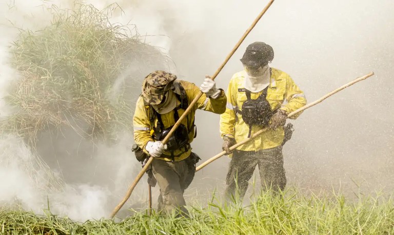 Governo discute enfrentamento de estiagem e incêndios na Amazônia e Pantanal