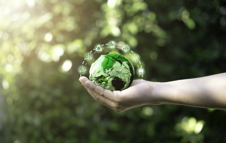 Programa Selo Verde Brasil certificará origem sustentável de produtos e serviços