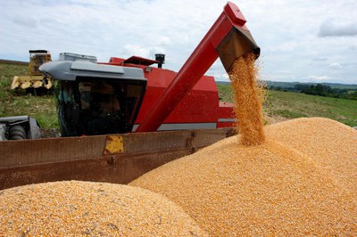 Conab: estimativa da safra de grãos 2023/2024 está em 297,54 milhões de toneladas