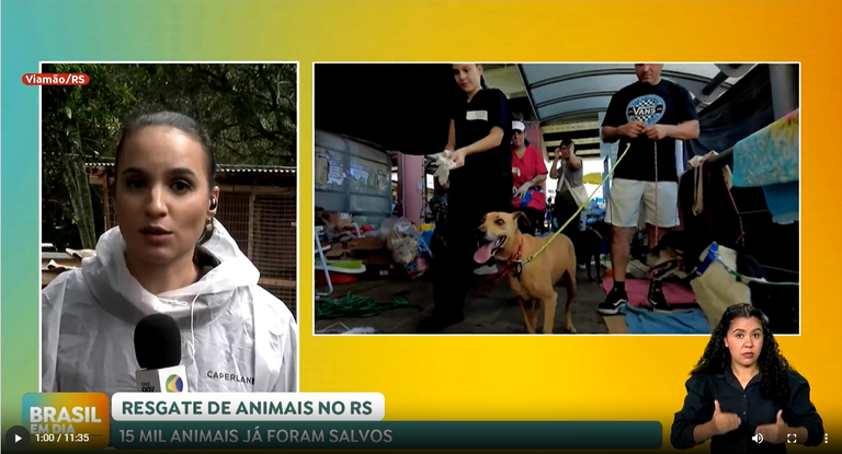 Resgate Animais RS.png