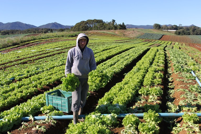 Acesso facilitado: Fundo Garantidor transforma realidade da Agricultura Familiar