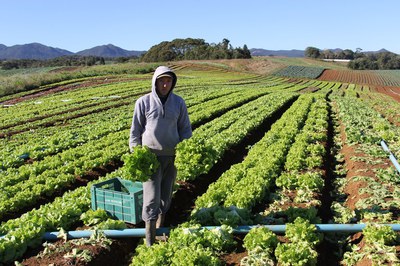 Acesso facilitado: Fundo Garantidor transforma realidade da Agricultura Familiar