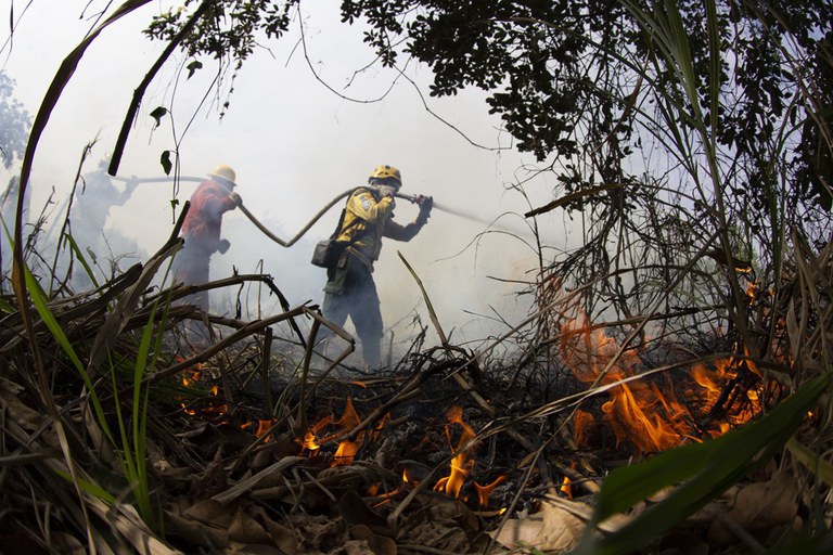 Governo Federal destina mais R$ 137 milhões para combate a incêndios no Pantanal