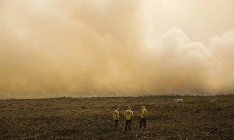 Destruição da diversidade e saúde: queimadas devastam a vida no Pantanal e fora dele