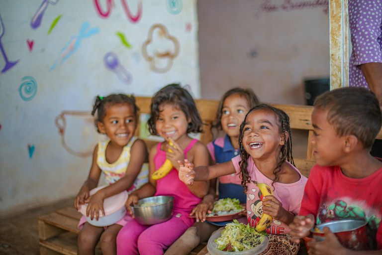 Do campo ao prato: o Programa de Aquisição de Alimentos no combate à fome