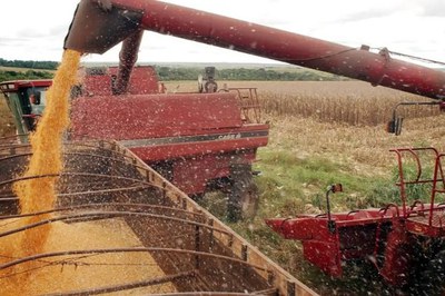 Agronegócio exporta US$ 15,20 bi em junho e US$ 82,39 bi no semestre