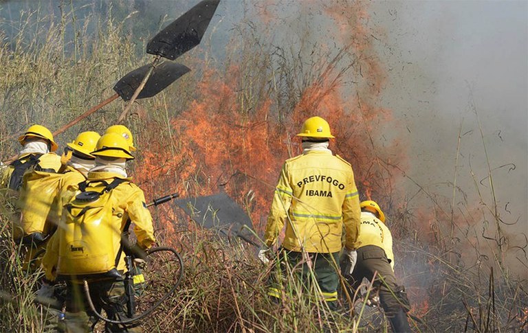 Governo Federal recontrata profissionais para reforçar combate a incêndios