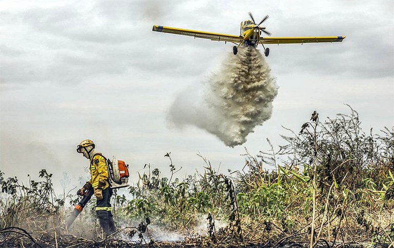 Governo Federal destaca 500 profissionais para combate de incêndios no Pantanal