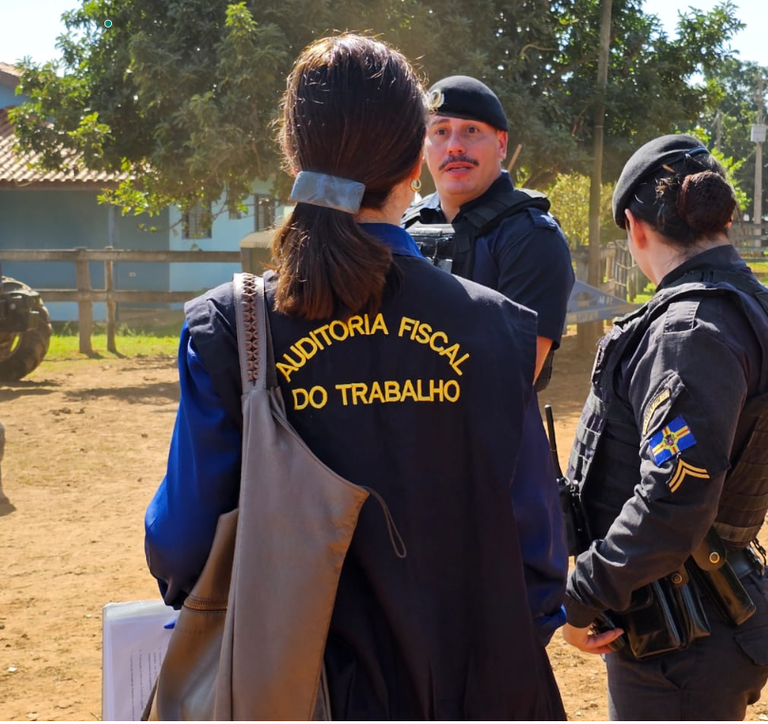 MTE interdita fazenda por manter adolescentes em trabalho infantil e análogo à escravidão