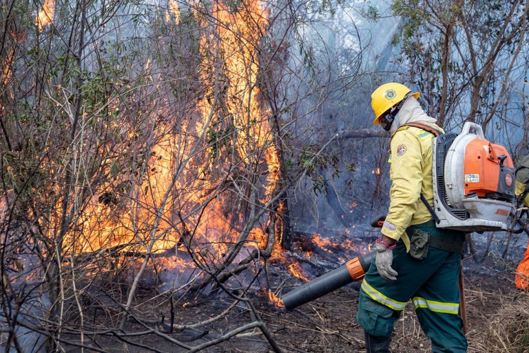 Operação Pantanal mobiliza 700 profissionais do Governo Federal