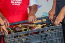 Programa de Aquisição de Alimentos doa mais de 21 mil toneladas de itens da cesta básica em 2024