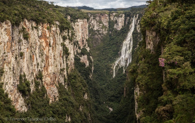 Parques de Aparados da Serra e da Serra Geral estimulam retomada do turismo no RS