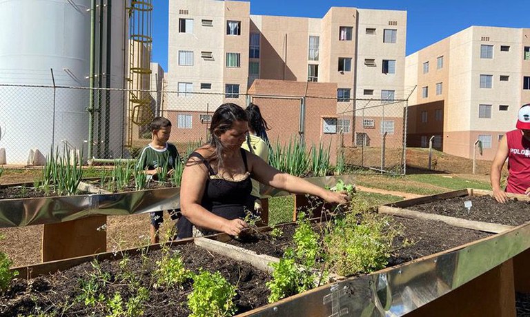 Lei da Política Nacional de Agricultura Urbana e Periurbana entra em vigor