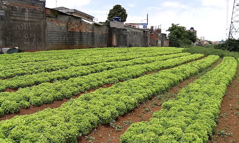 Política Nacional de Agricultura Urbana e Periurbana está publicada no Diário Oficial