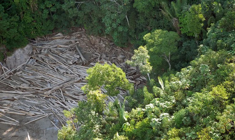 Em um ano, área sob alertas de desmatamento cai 45,7% na Amazônia