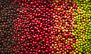 Exportações do agronegócio brasileiro batem recorde histórico em julho Exportações do agronegócio brasileiro batem recorde histórico em julho
