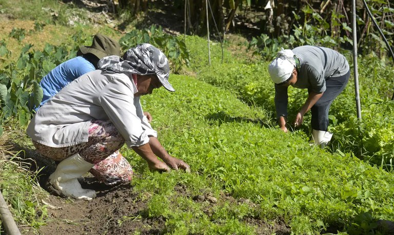 Governo destina R$ 1,8 bi para reduzir dívidas de agricultores do RS. Saiba quem pode acessar