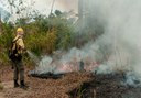 Mais de 1.400 brigadistas atuam no combate aos incêndios na Amazônia