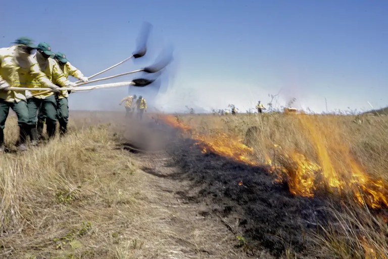 Fogo: Governo Federal vai contratar brigadas temporárias em 20 estados