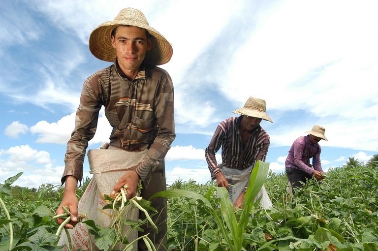 Dia da Juventude: jovens no campo garantem futuro da Agricultura Familiar