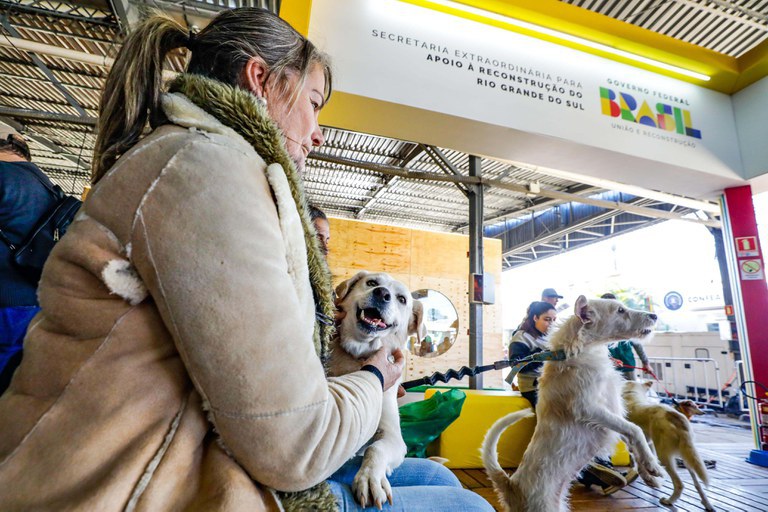 Ministério da Reconstrução do RS promove adoção de animais resgatados da enchente