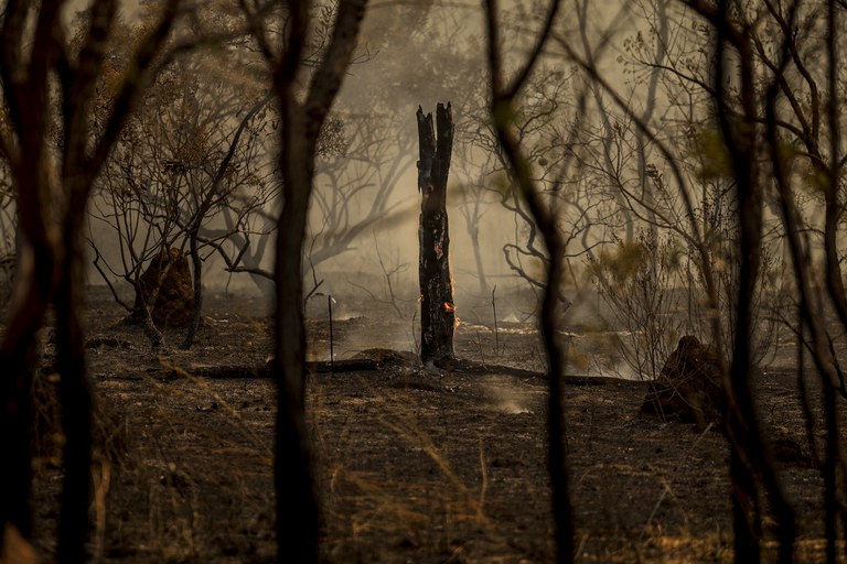 Polícia Federal apura responsabilidade por incêndios em todo o país