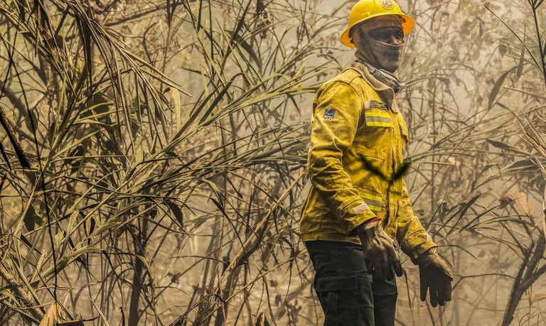 90% dos incêndios no Pantanal estão extintos ou controlados