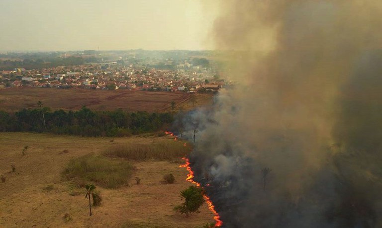 AGU cria grupo estratégico para combater crimes ambientais