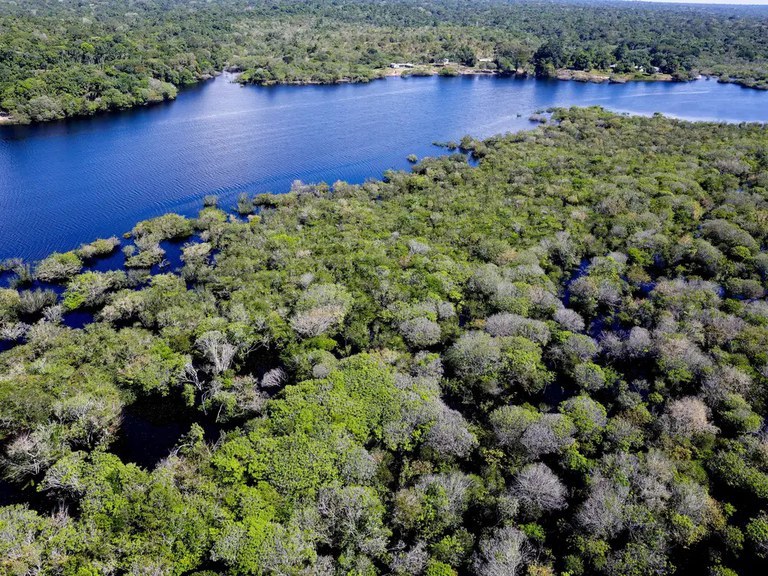 AGU pede reparação de R$ 635 milhões por danos climáticos em criação de gado na Amazônia