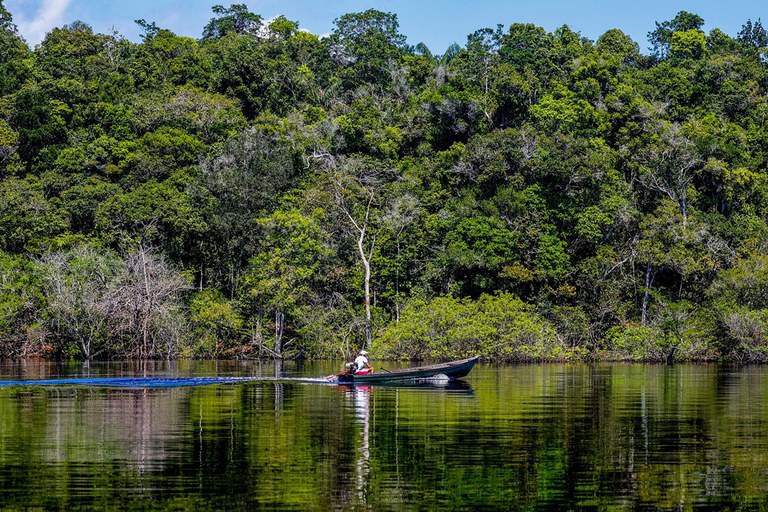 Amazônia: desmatamento em agosto foi o menor em seis anos