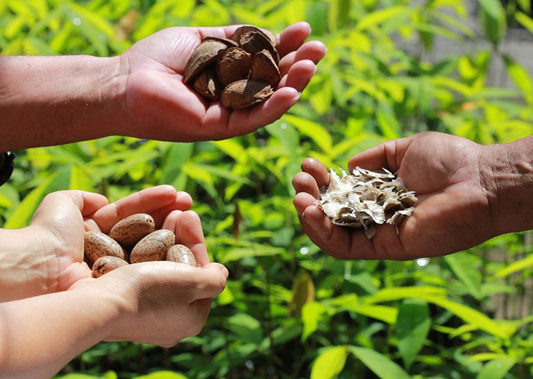 'Bioeconomia é uma alternativa para a especialização inteligente dos territórios'