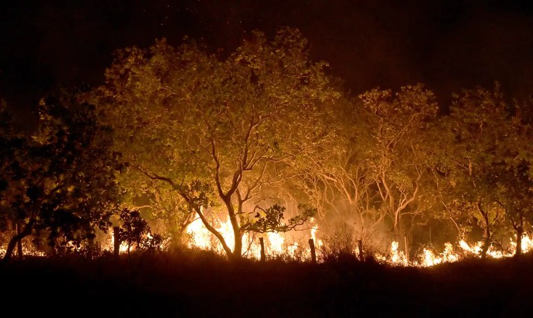 Governo Federal institui novas multas para quem provocar incêndios florestais